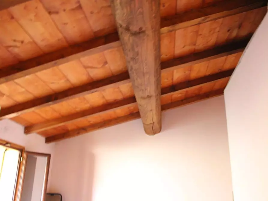 Immagine 5 di Appartamento in vendita  a Castelfiorentino