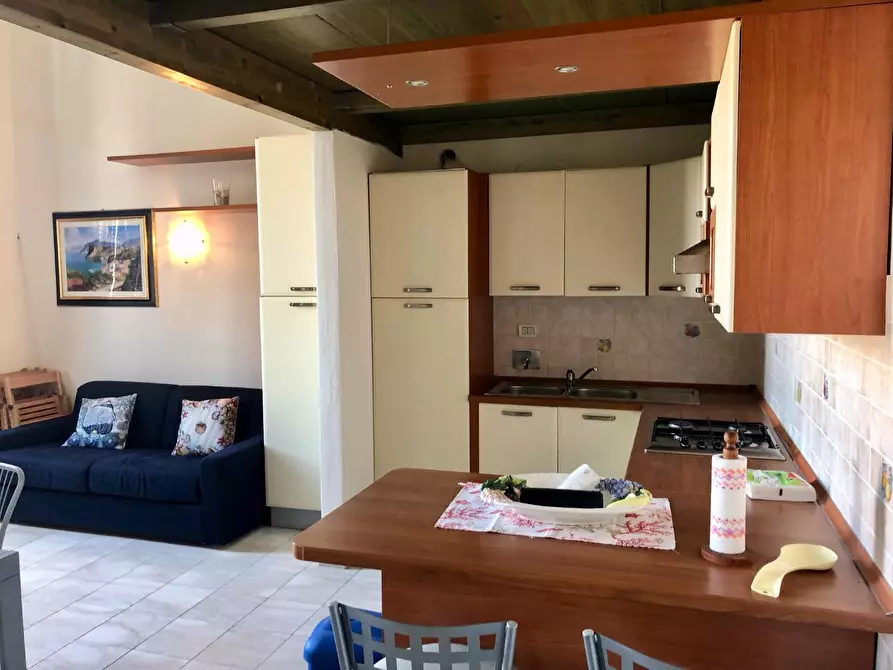 Immagine 4 di Appartamento in affitto  a Pisa