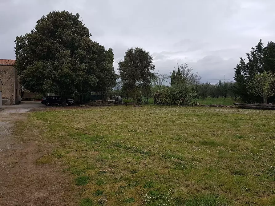 Immagine 18 di Porzione di casa in vendita  a Campiglia Marittima