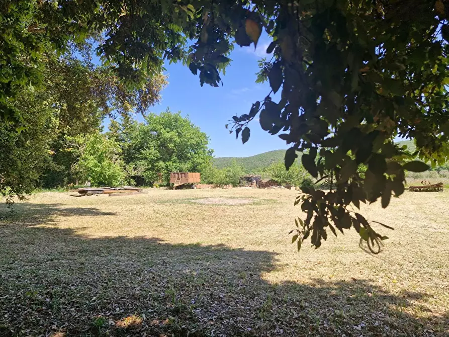 Immagine 10 di Porzione di casa in vendita  a Campiglia Marittima