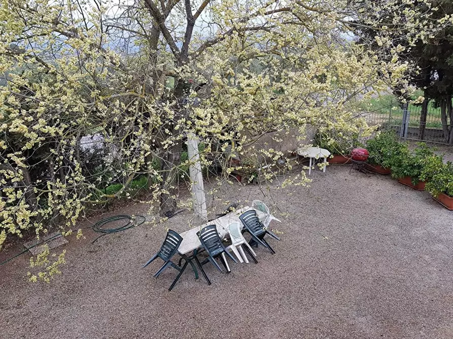Immagine 6 di Porzione di casa in vendita  a Campiglia Marittima