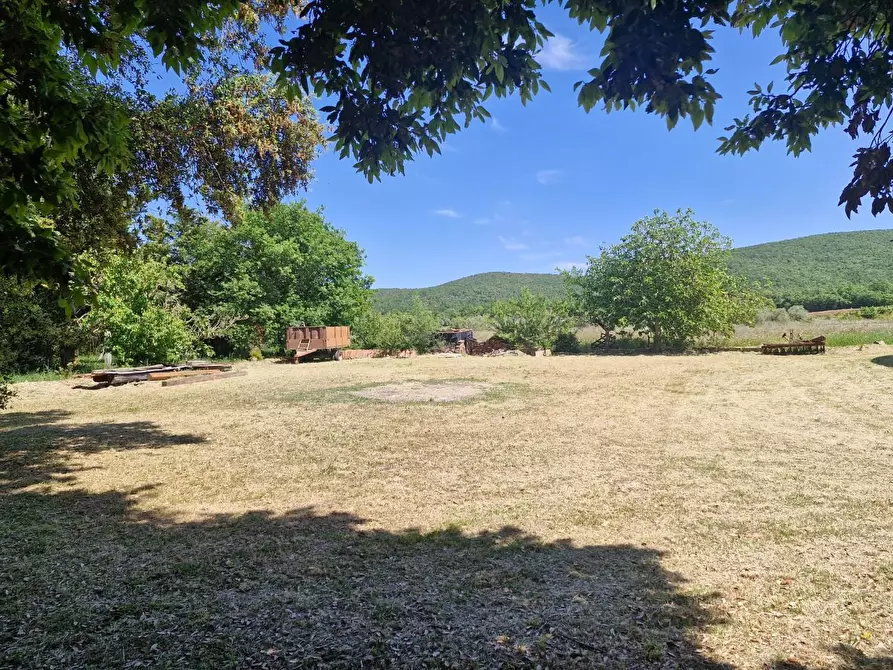 Immagine 8 di Porzione di casa in vendita  a Campiglia Marittima