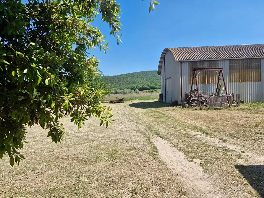 Immagine 11 di Porzione di casa in vendita  a Campiglia Marittima