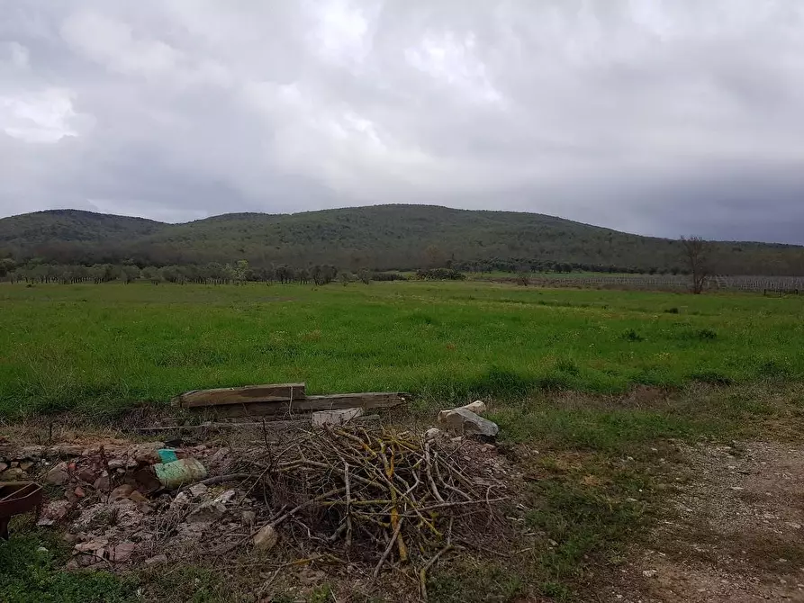 Immagine 19 di Porzione di casa in vendita  a Campiglia Marittima