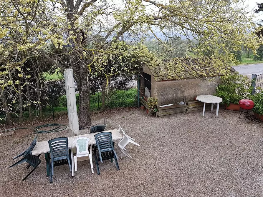 Immagine 5 di Porzione di casa in vendita  a Campiglia Marittima
