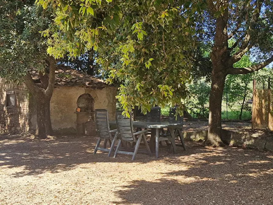 Immagine 1 di Porzione di casa in vendita  a Campiglia Marittima