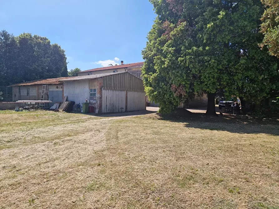Immagine 17 di Porzione di casa in vendita  a Campiglia Marittima
