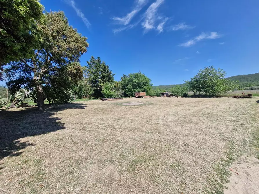 Immagine 12 di Porzione di casa in vendita  a Campiglia Marittima