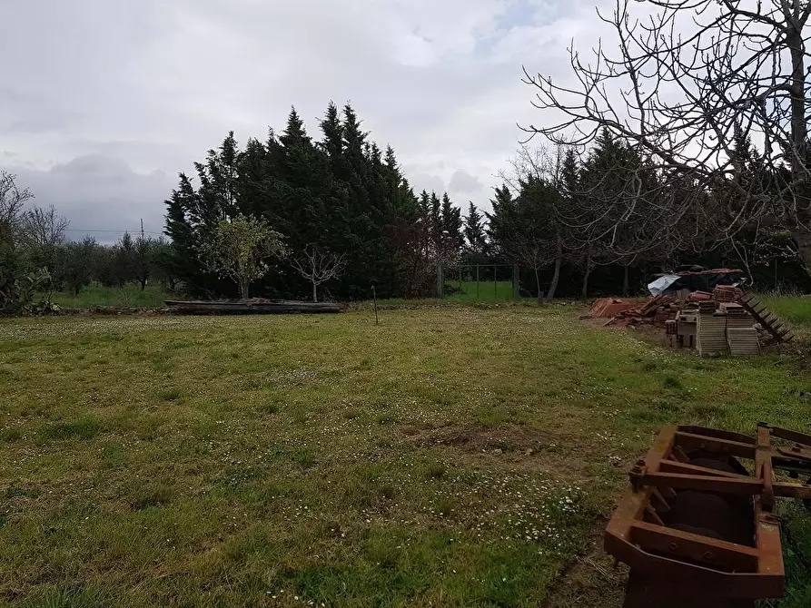 Immagine 20 di Porzione di casa in vendita  a Campiglia Marittima