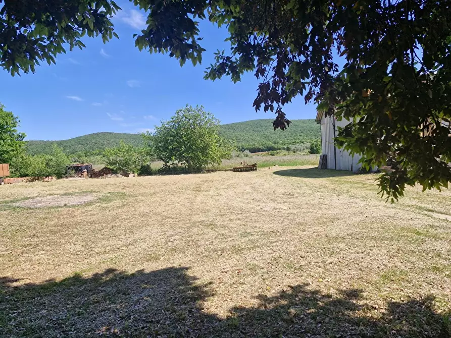 Immagine 9 di Porzione di casa in vendita  a Campiglia Marittima