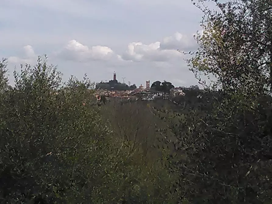 Immagine 1 di Casa colonica in vendita  a San Miniato