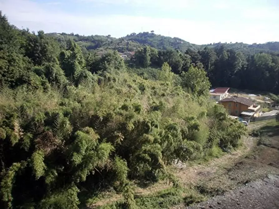 Immagine 3 di Palazzo in vendita  a Carrara