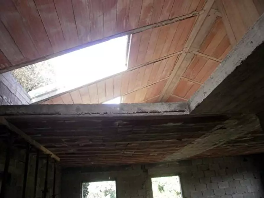 Immagine 6 di Palazzo in vendita  a Carrara