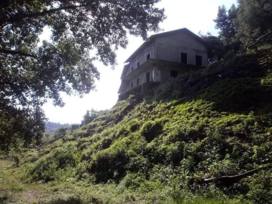 Immagine 2 di Palazzo in vendita  a Carrara