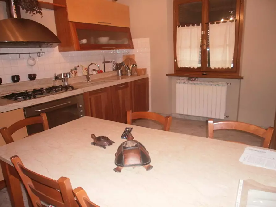 Immagine 31 di Casa indipendente in vendita  a Carrara