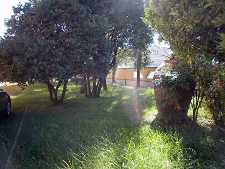 Immagine 24 di Locale commerciale in vendita  a Carrara