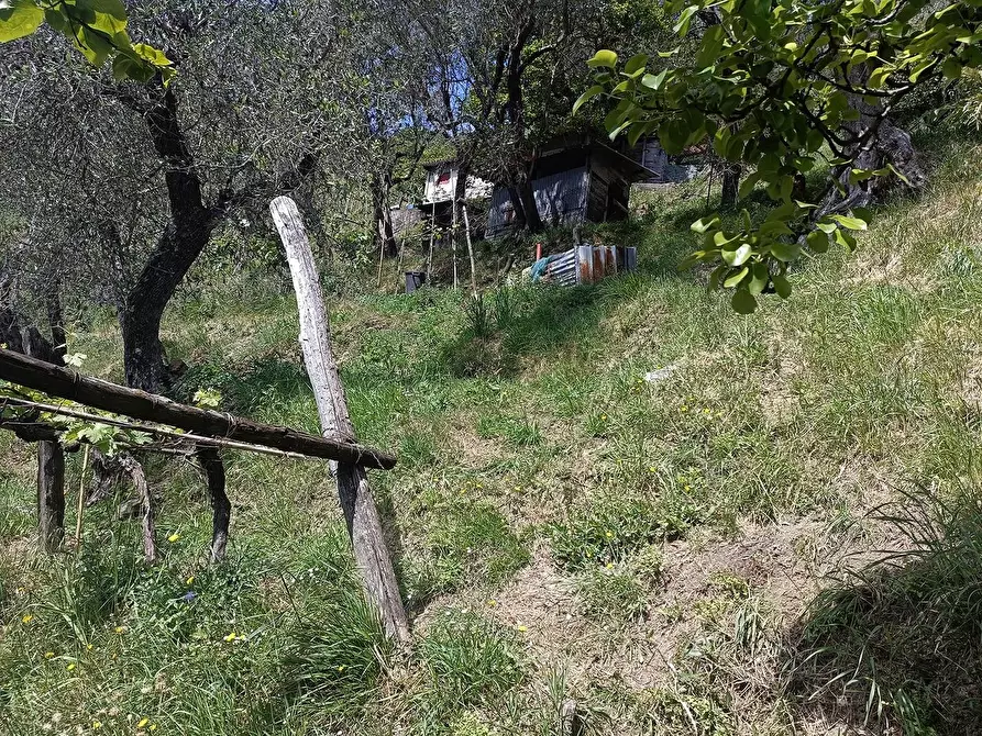 Immagine 35 di Terreno agricolo in vendita  a Carrara