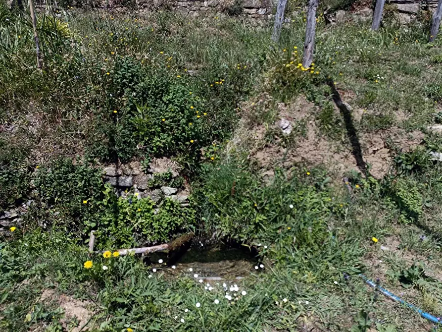 Immagine 26 di Terreno agricolo in vendita  a Carrara