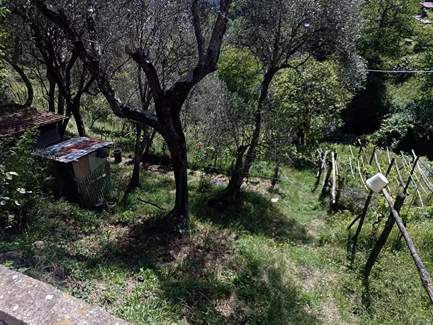 Immagine 16 di Terreno agricolo in vendita  a Carrara