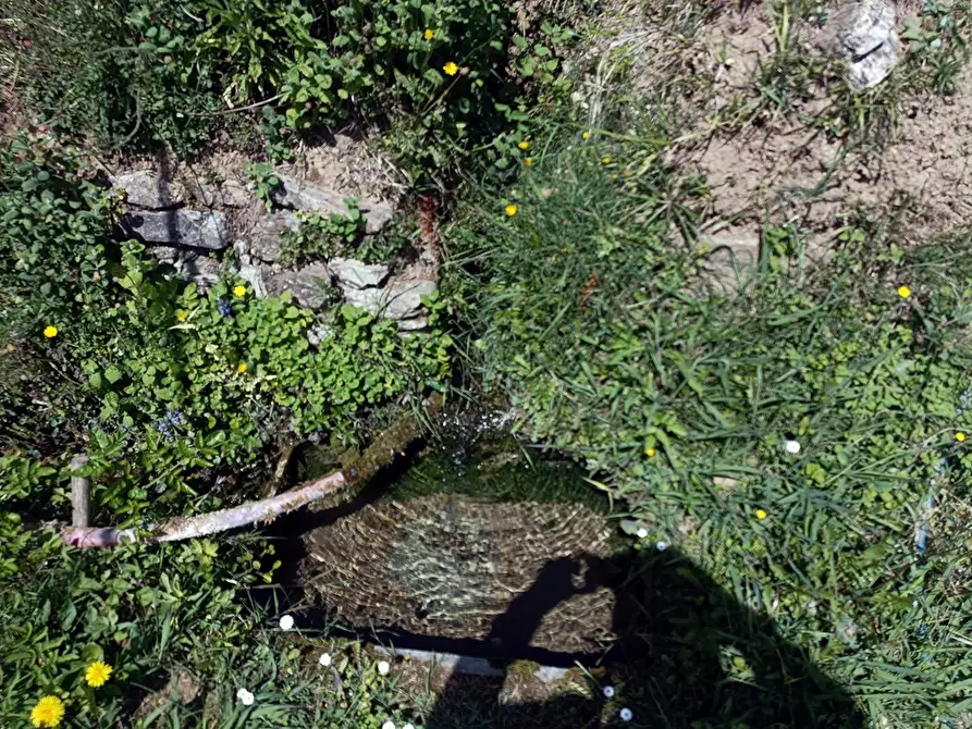 Immagine 25 di Terreno agricolo in vendita  a Carrara
