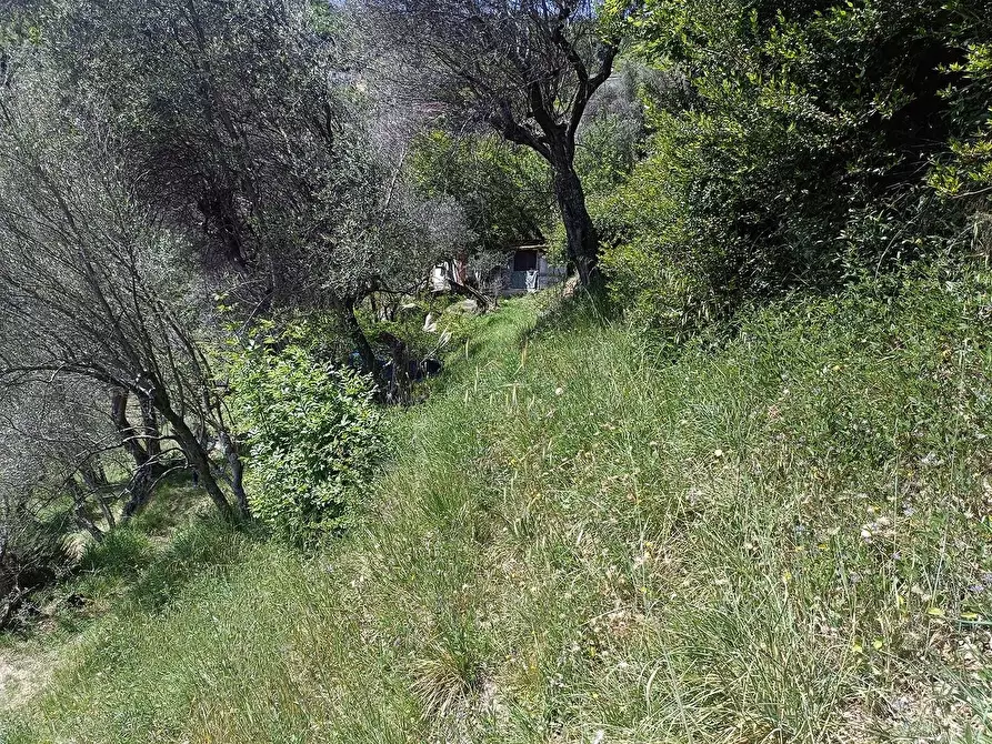 Immagine 10 di Terreno agricolo in vendita  a Carrara