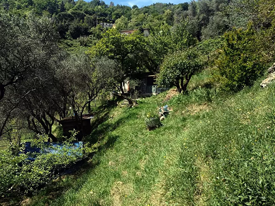 Immagine 11 di Terreno agricolo in vendita  a Carrara