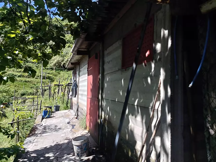 Immagine 13 di Terreno agricolo in vendita  a Carrara
