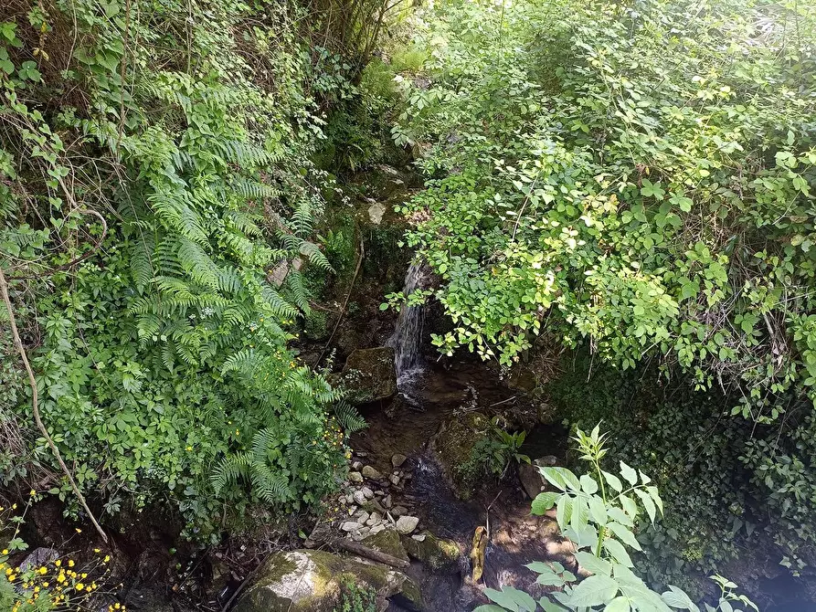 Immagine 37 di Terreno agricolo in vendita  a Carrara