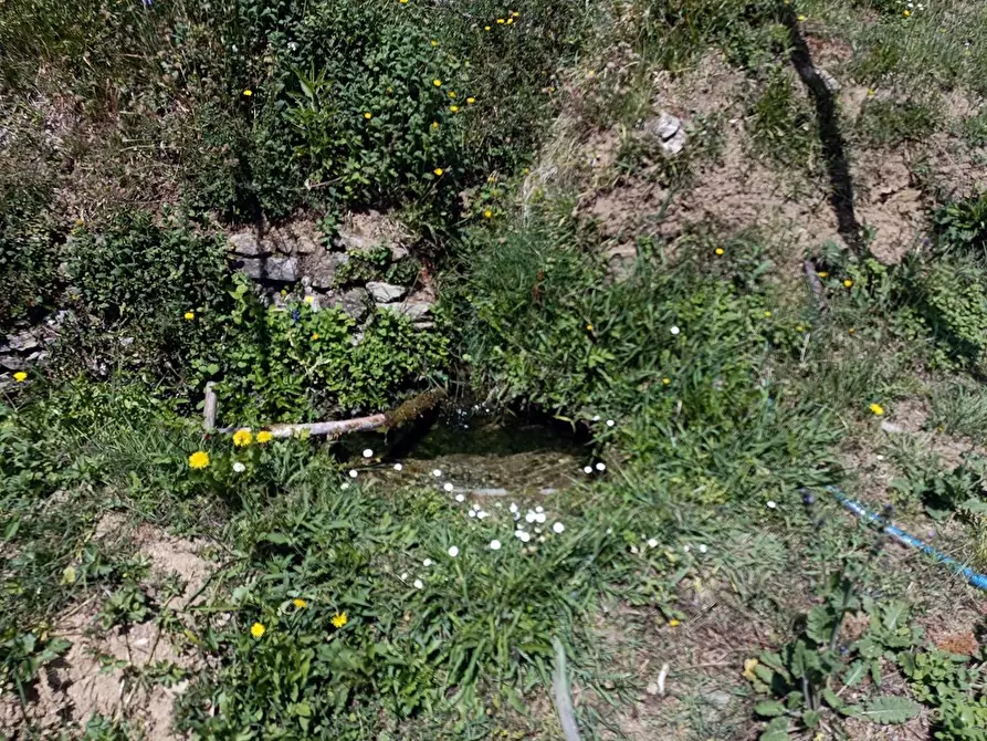 Immagine 24 di Terreno agricolo in vendita  a Carrara