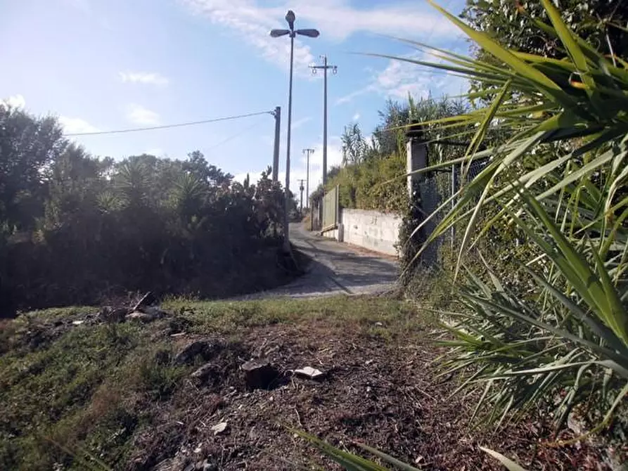 Immagine 5 di Terreno agricolo in vendita  a Carrara