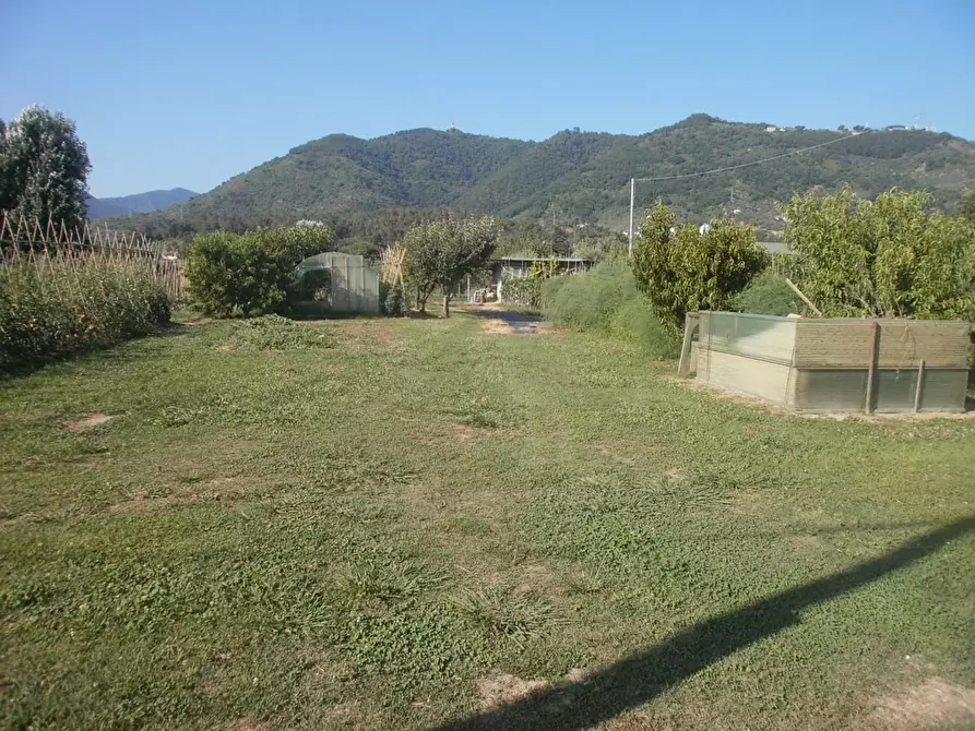 Immagine 3 di Terreno agricolo in vendita  a Carrara