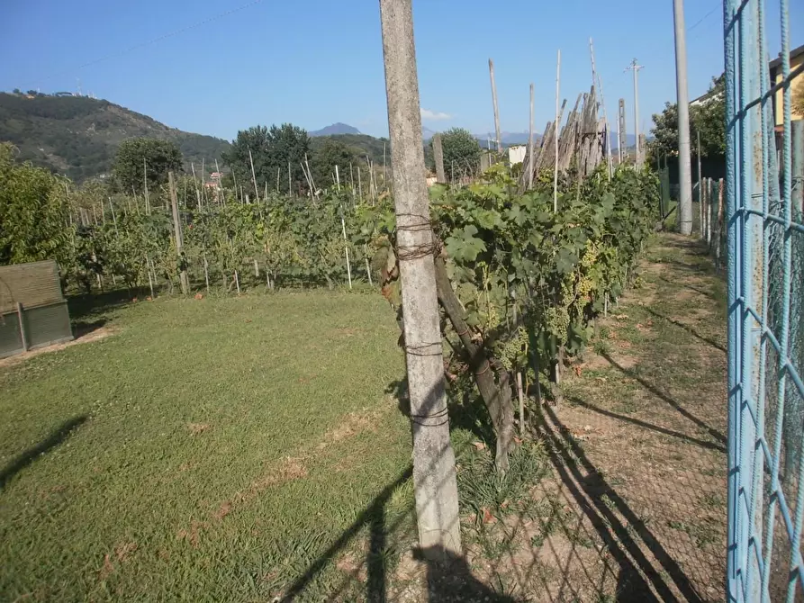 Immagine 4 di Terreno agricolo in vendita  a Carrara