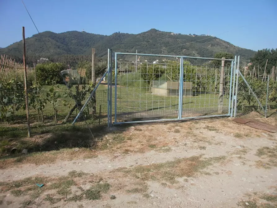 Immagine 1 di Terreno agricolo in vendita  a Carrara