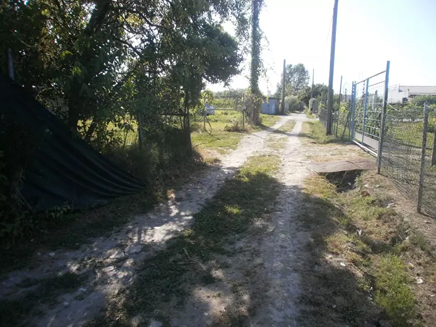 Immagine 9 di Terreno agricolo in vendita  a Carrara