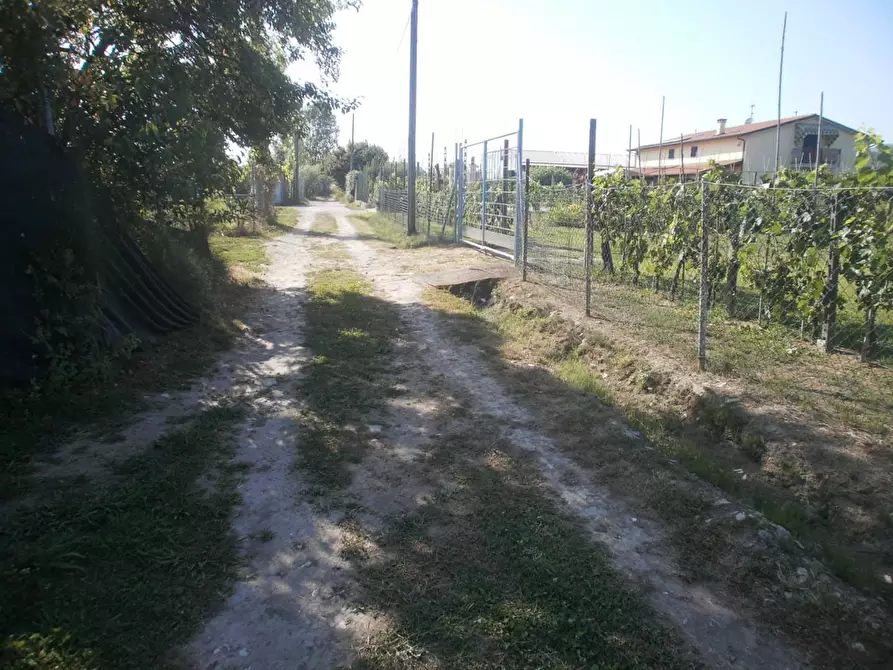 Immagine 8 di Terreno agricolo in vendita  a Carrara