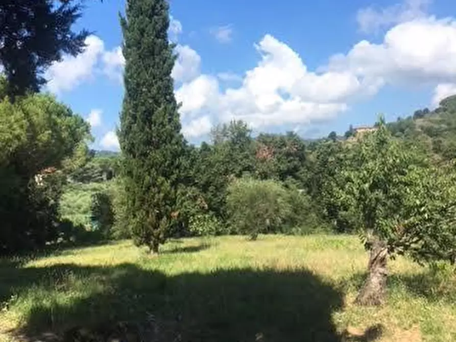 Immagine 9 di Terratetto in vendita  a Rosignano Marittimo