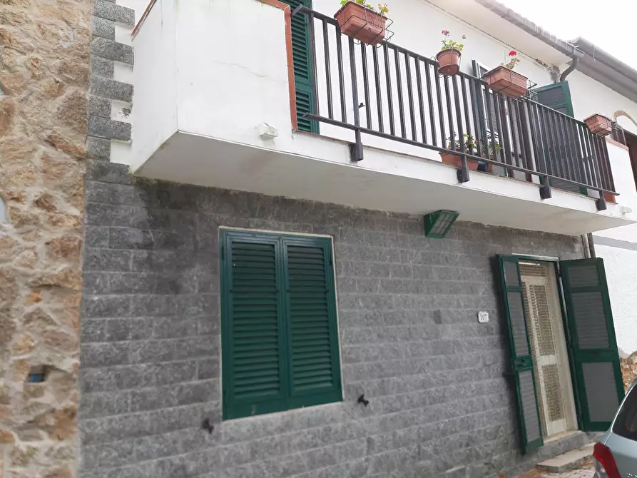 Immagine 13 di Terratetto in vendita  a Rosignano Marittimo