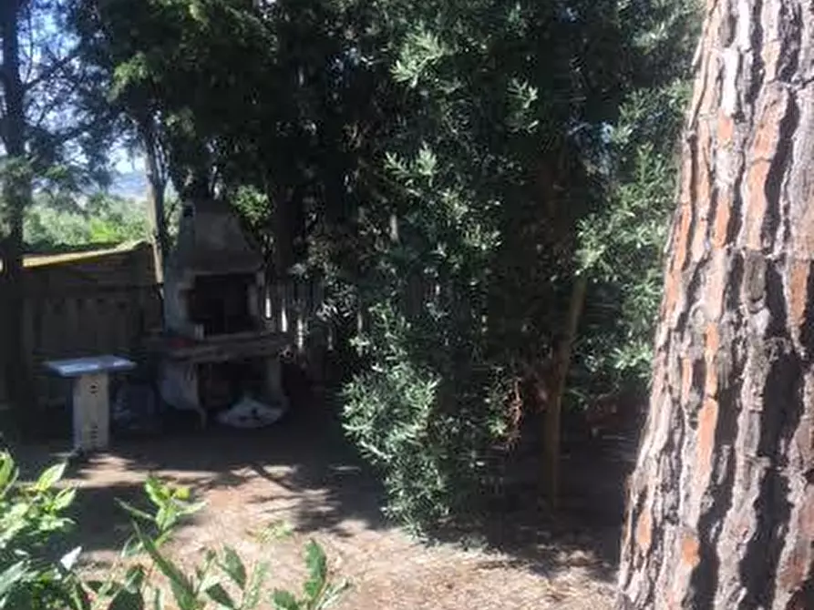 Immagine 12 di Terratetto in vendita  a Rosignano Marittimo