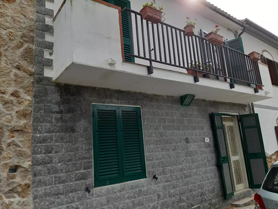 Immagine 14 di Terratetto in vendita  a Rosignano Marittimo