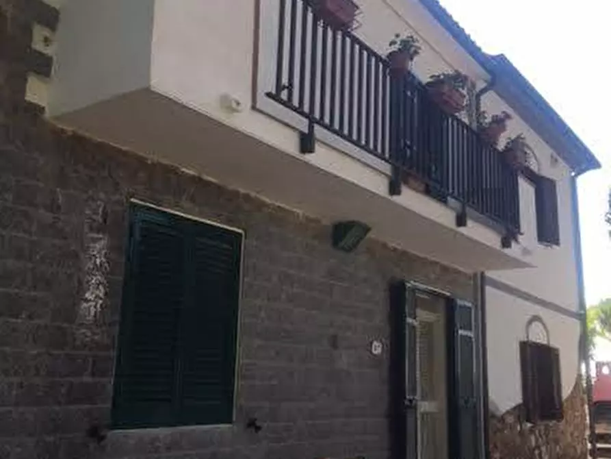 Immagine 11 di Terratetto in vendita  a Rosignano Marittimo