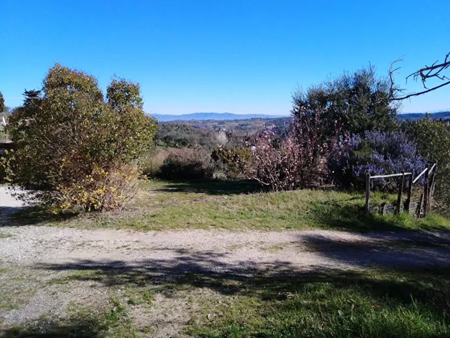 Immagine 28 di Porzione di casa in vendita  a San Miniato