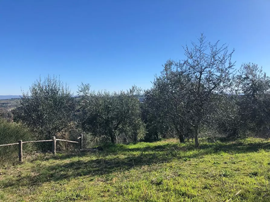 Immagine 26 di Porzione di casa in vendita  a San Miniato