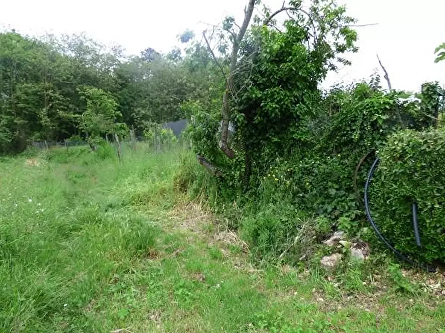 Immagine 2 di Terreno residenziale in vendita  a Capannori