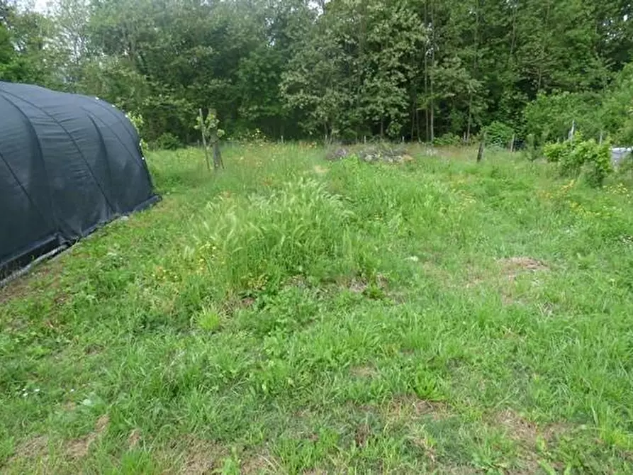 Immagine 6 di Terreno residenziale in vendita  a Capannori