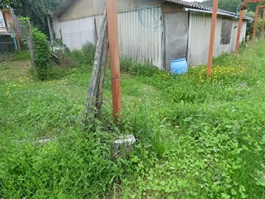 Immagine 8 di Terreno residenziale in vendita  a Capannori