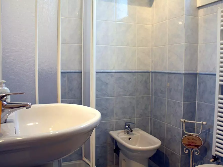 Immagine 11 di Appartamento in affitto  a Pietrasanta