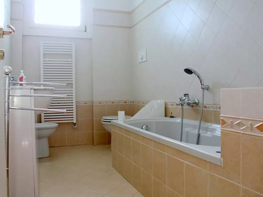 Immagine 6 di Appartamento in affitto  a Pietrasanta