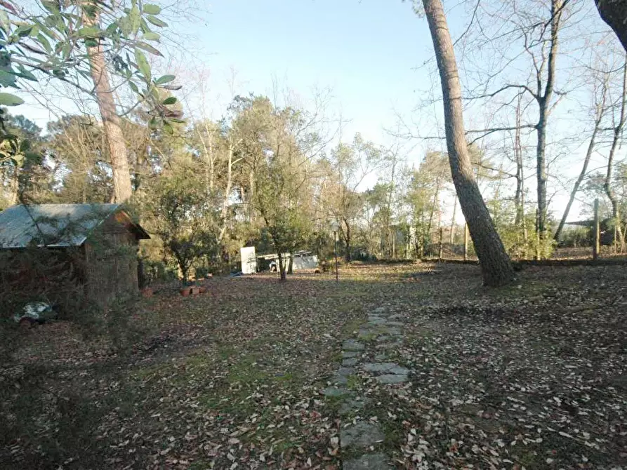 Immagine 15 di Villa in vendita  a Porcari