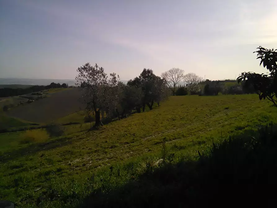 Immagine 6 di Casa indipendente in vendita  a Montaione