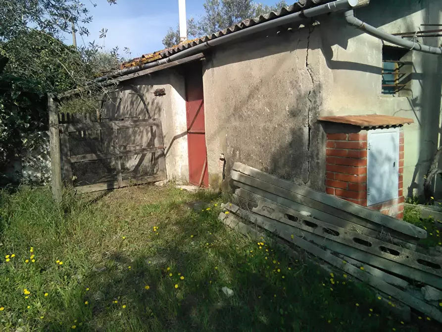 Immagine 3 di Casa indipendente in vendita  a Montaione